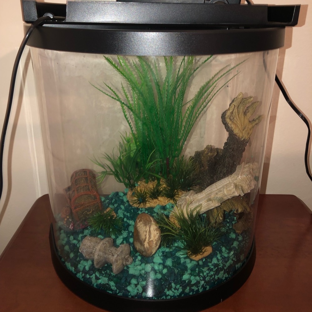 Fish tank